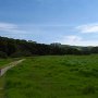 For those circumnavigating the park, we suggest taking Black Phoebe Trail and going counter clockwise, as this will avoid ascending the steep Windmill Trail.